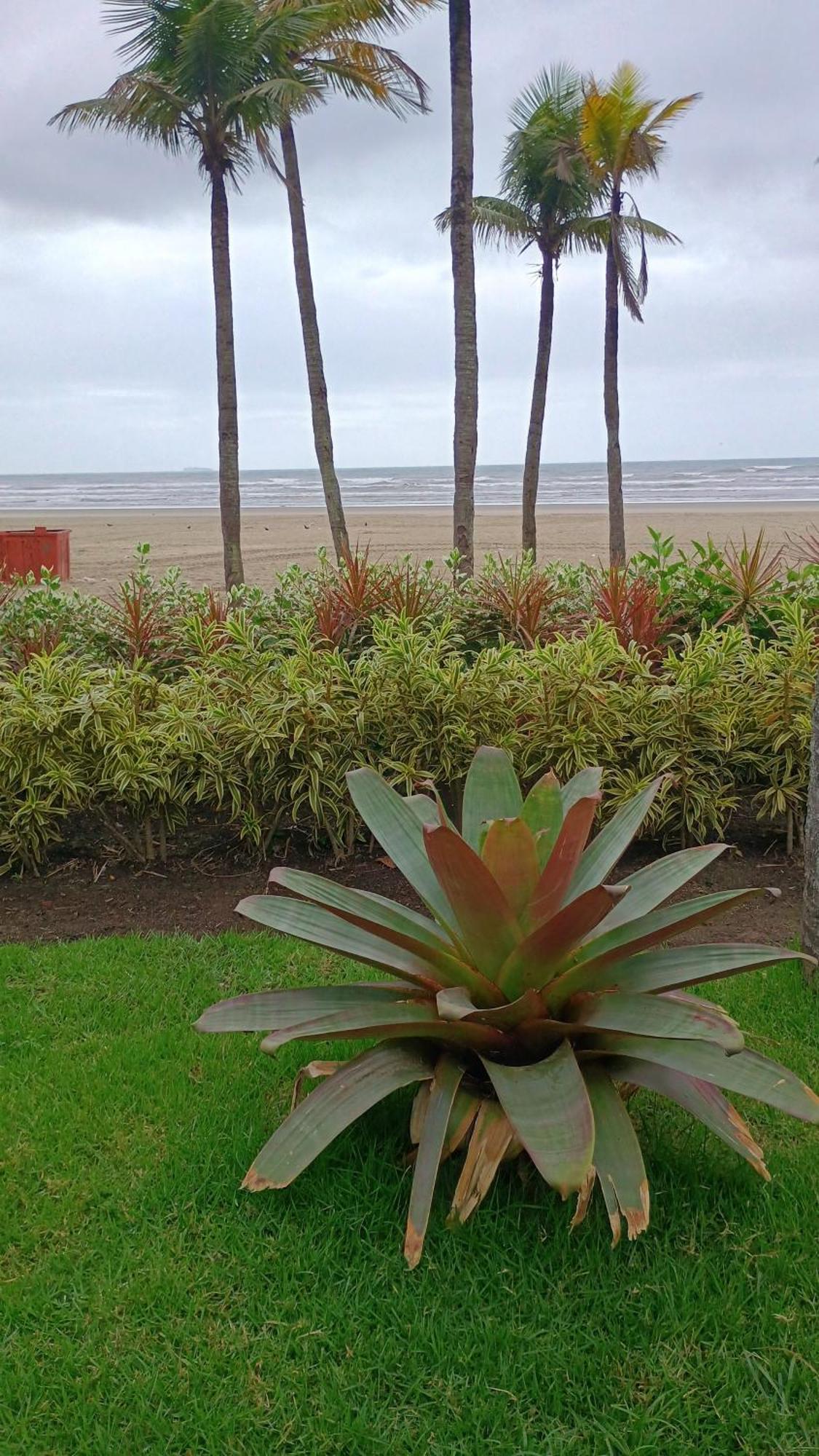 Ferienwohnung Apto Pe Na Areia Praia Grande  Exterior foto